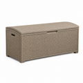 Garten-Aufbewahrungsbox in Beige, 120 x 50 x 60 cm, Kunststoffgeflecht in Rattanoptik mit Klappdeckel